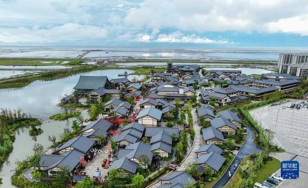 天龙集团 柬埔寨